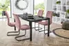 Buchholz étkezőszék - rózsaszín
