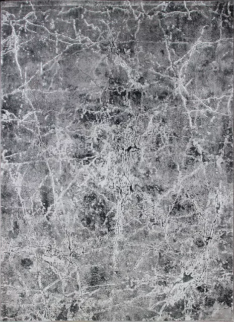 Elite szőnyeg 4355 Szürke 200x290 cm