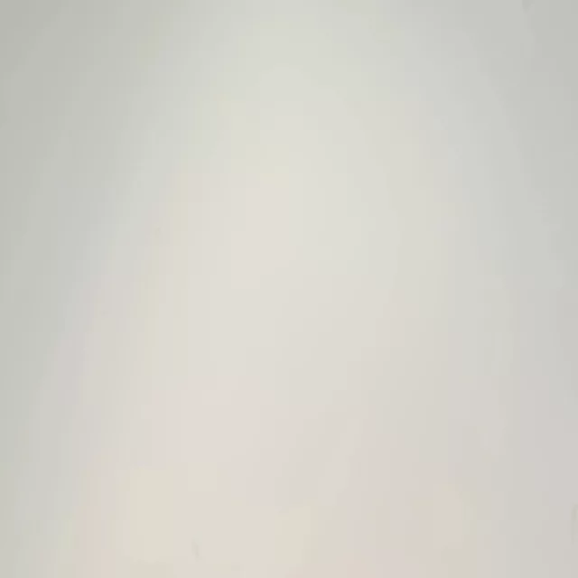 Falpanel, egyszínű, bambuszrost, 280x122 cm - Ivory Matte