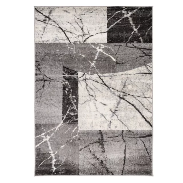 Phoenix szőnyeg 6082-0544 szürke - 120x170 cm