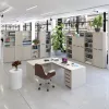 Íróasztal, kasmír, RIOMA NEW TYP 17