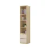 Terra két fiókos könyvespolc (24LBON83) - lindberg tölgy/sandy beige