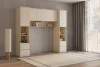 Terra egy ajtós két fiókos könyvespolc (24LBON84) - lindberg tölgy/ sandy beige